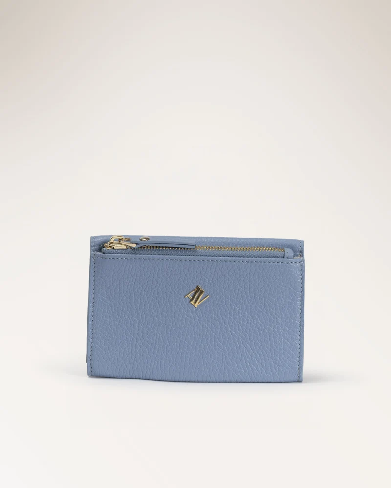 Wallet Azul